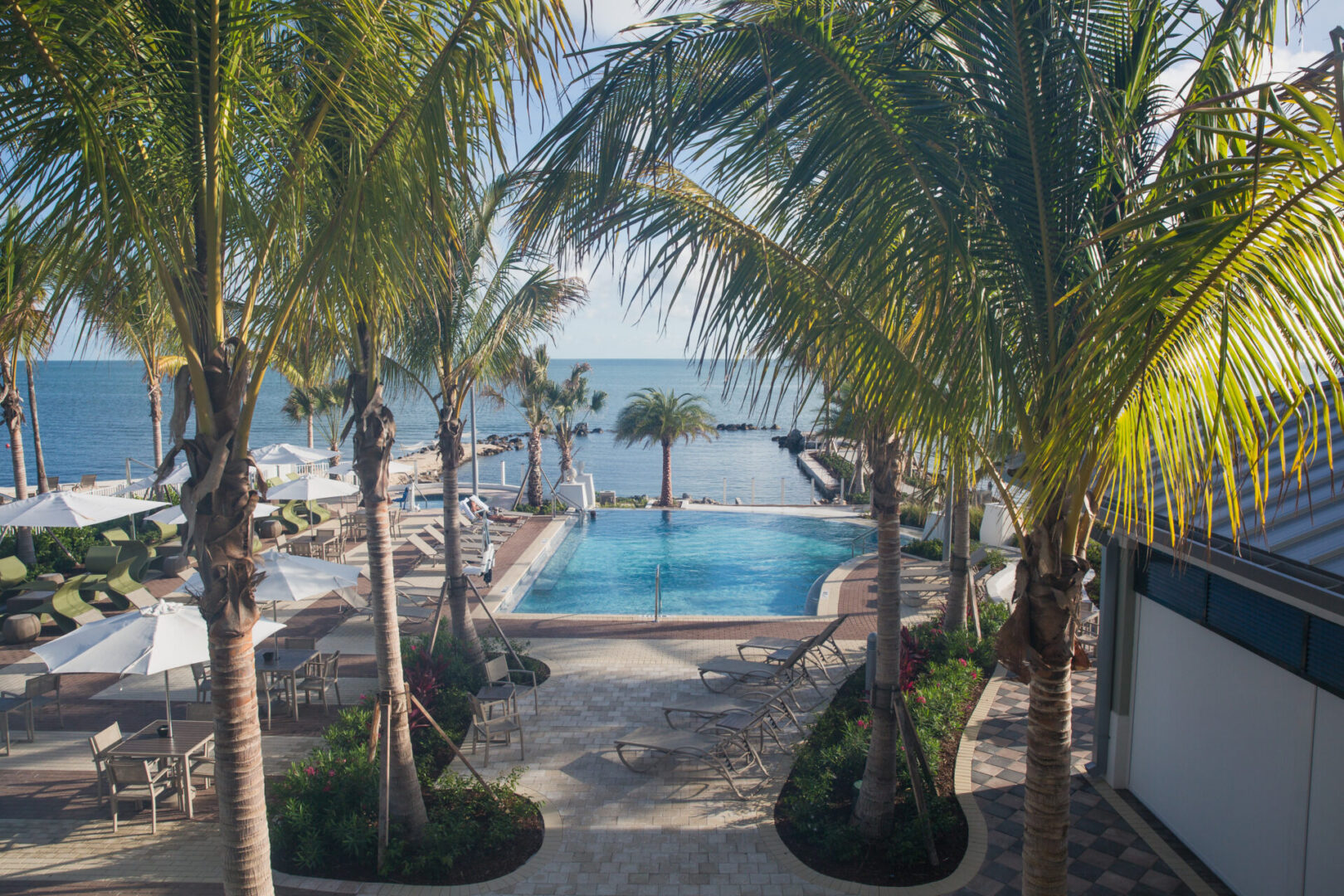 A pool surrounded by palm trees and an ocean.